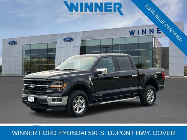2024 Ford F-150 XLT for sale in Dover, DE