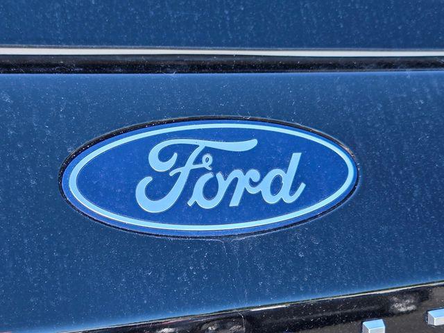 2025 Ford Expedition Active MAX