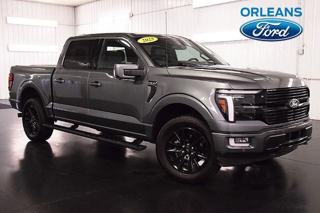 2025 Ford F-150 Platinum for sale in Medina, NY