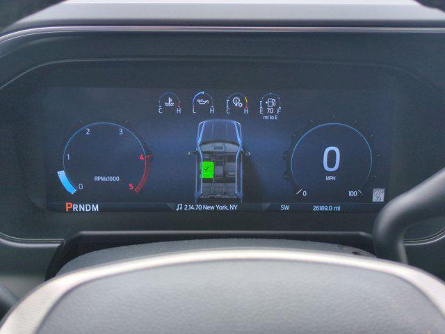 2025 Ford F-450 Platinum