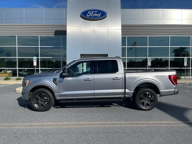 2023 Ford F-150 XLT for sale in Harrisburg, PA