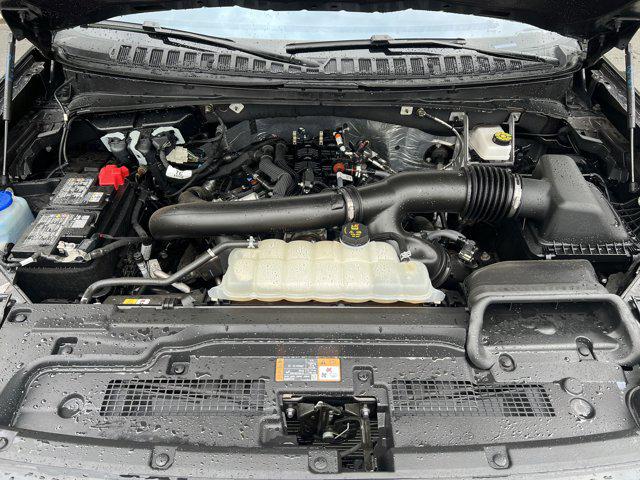 2025 Ford Expedition Active MAX