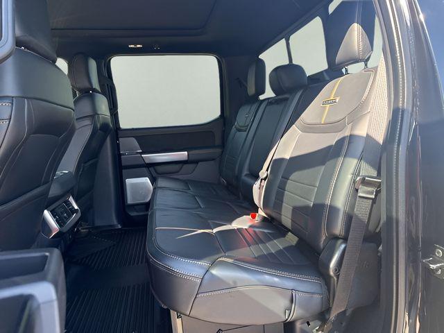 2024 Ford F-250 Platinum
