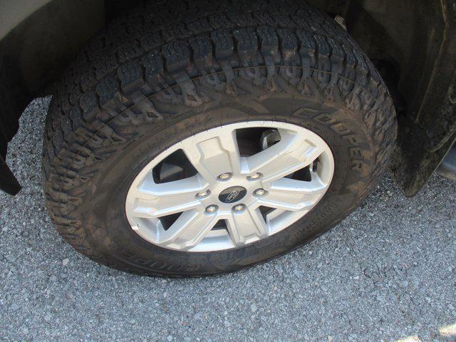 2024 Ford Ranger XL