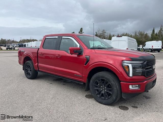 2024 Ford F-150 Platinum for sale in Petoskey, MI