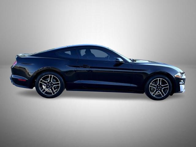 2020 Ford Mustang EcoBoost Fastback