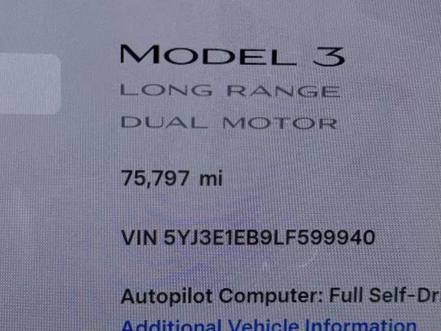 2020 Tesla Model 3 Long Range Dual Motor All-Wheel Drive