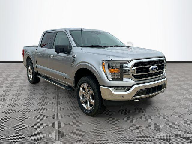 2021 Ford F-150 XLT 4x4 SuperCrew 5-1/2 Box's photo