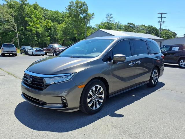 2021 Honda Odyssey EX-L for sale in Hartselle, AL