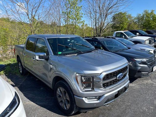 2023 Ford F-150 Platinum for sale in Catskill, NY