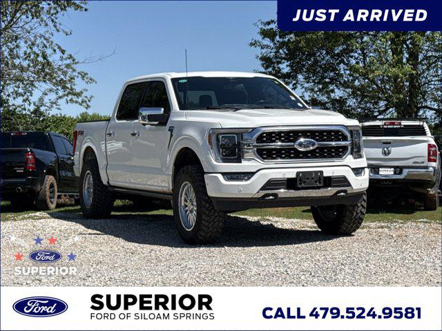 2023 Ford F-150 Platinum for sale in Siloam Springs, AR