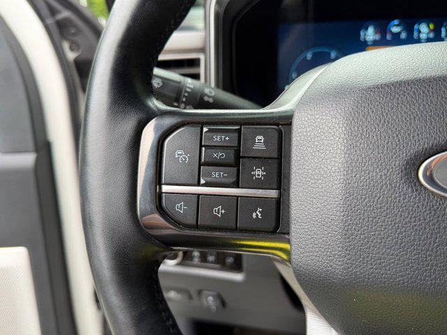 2025 Ford F-250 Platinum
