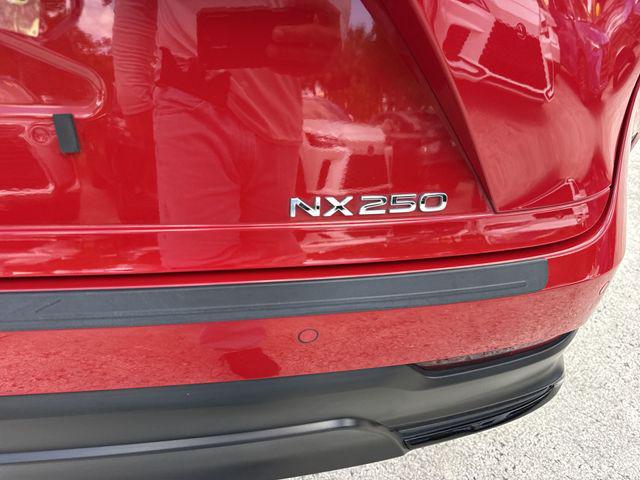 2024 Lexus NX Premium