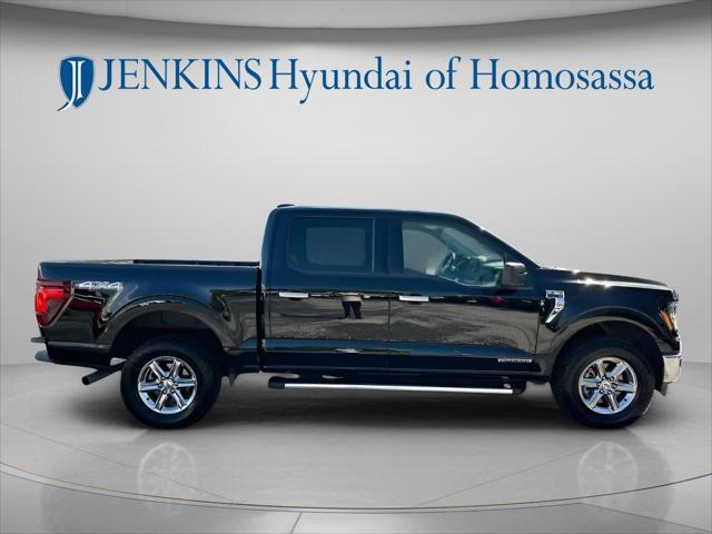 2024 Ford F-150 XLT for sale in HOMOSASSA, FL