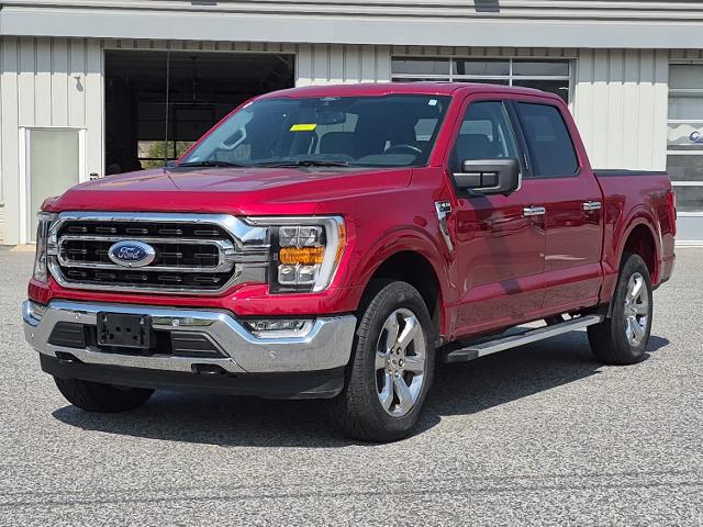 2022 Ford F-150 XLT for sale in Easton, MD