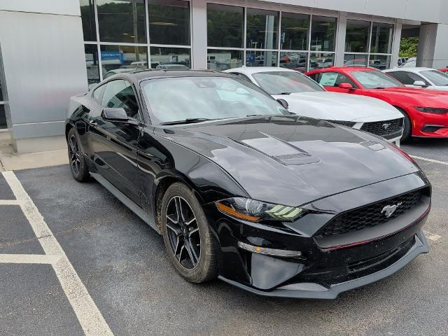 2023 Ford Mustang EcoBoost Premium Fastback