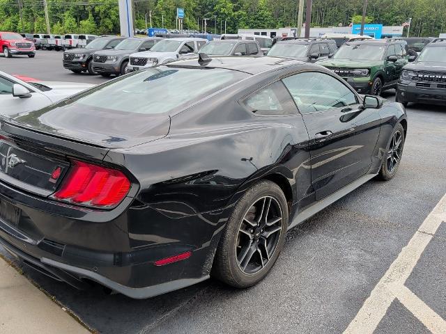 2023 Ford Mustang EcoBoost Premium Fastback