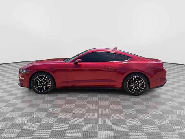 2023 Ford Mustang EcoBoost Fastback
