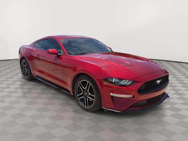 2023 Ford Mustang EcoBoost Fastback