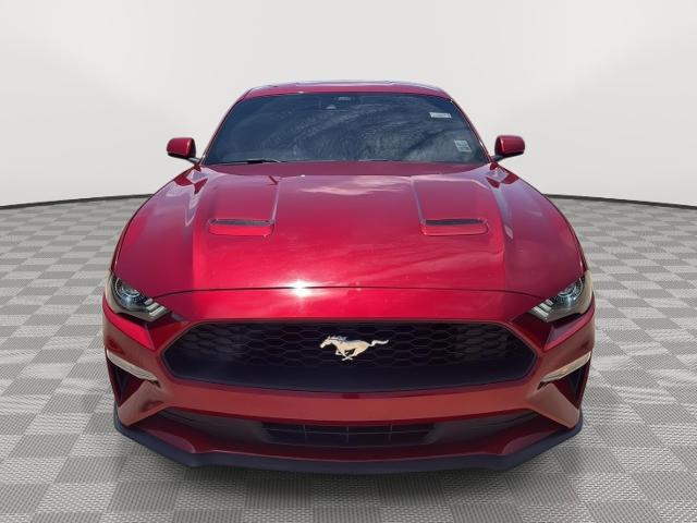 2023 Ford Mustang EcoBoost Fastback