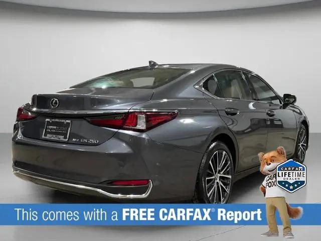 2024 Lexus ES 250 ES 250