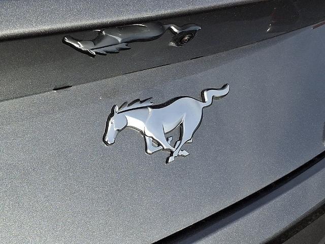2026 Ford Mustang EcoBoost Premium Fastback