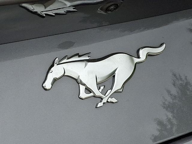 2026 Ford Mustang EcoBoost Premium Fastback