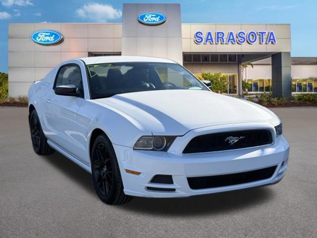 2014 Ford Mustang V6 for sale in Sarasota, FL