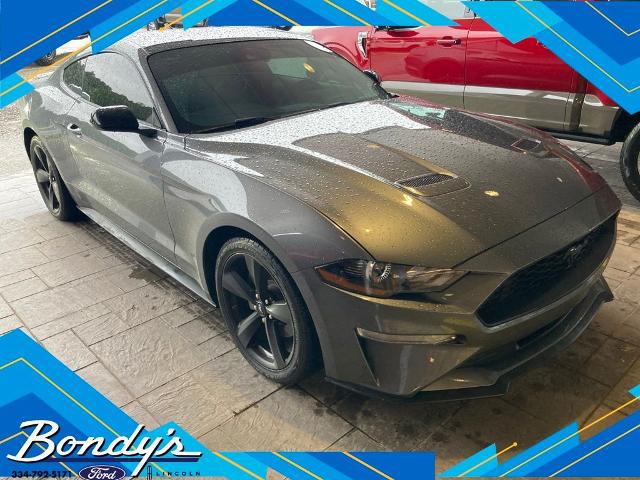 2022 Ford Mustang EcoBoost Fastback for sale in Dothan, AL