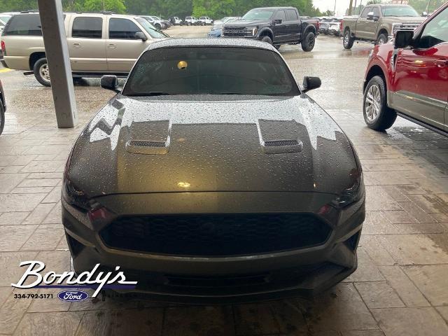 2022 Ford Mustang EcoBoost Fastback