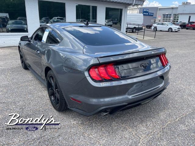 2022 Ford Mustang EcoBoost Fastback