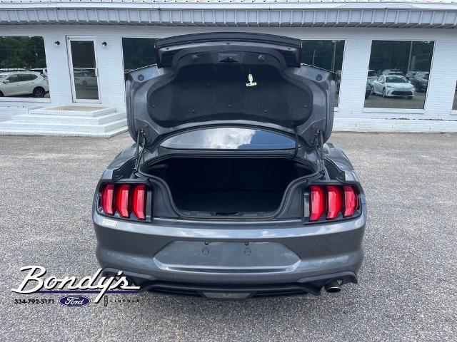 2022 Ford Mustang EcoBoost Fastback