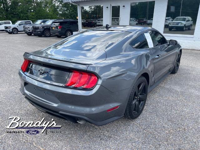 2022 Ford Mustang EcoBoost Fastback