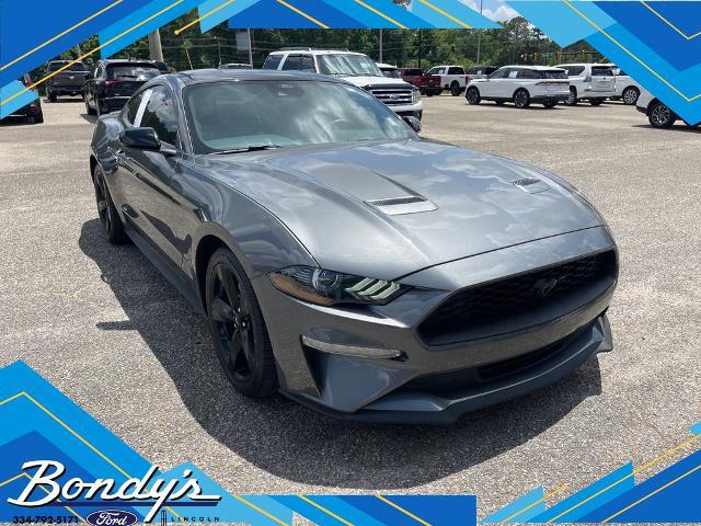 2022 Ford Mustang EcoBoost Fastback for sale in Dothan, AL