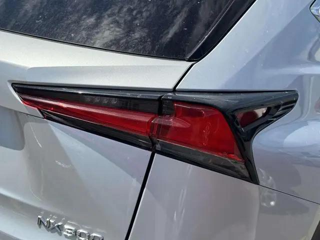 2019 Lexus NX 300 F SPORT