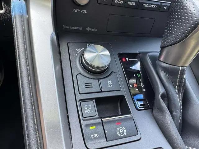 2019 Lexus NX 300 F SPORT