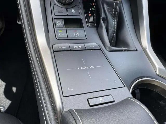2019 Lexus NX 300 F SPORT