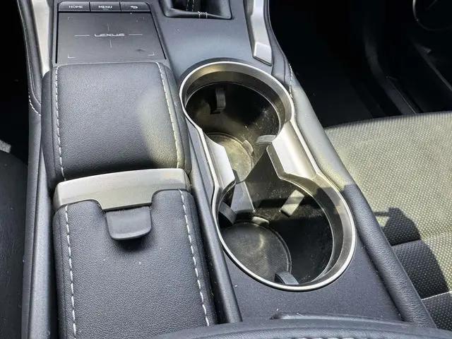2019 Lexus NX 300 F SPORT