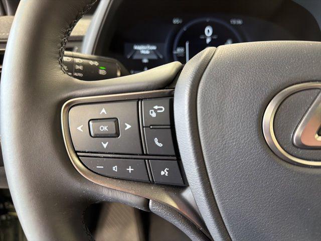 2025 Lexus 300 Premium
