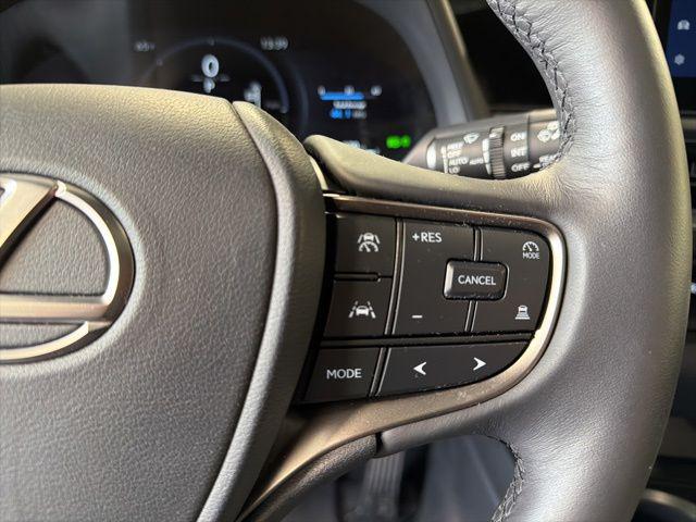 2025 Lexus 300 Premium
