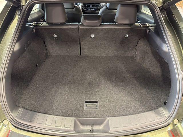 2025 Lexus 300 Premium