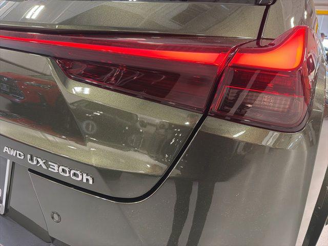 2025 Lexus 300 Premium