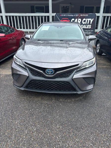 2019 Toyota Camry LE for sale in Brundidge, AL