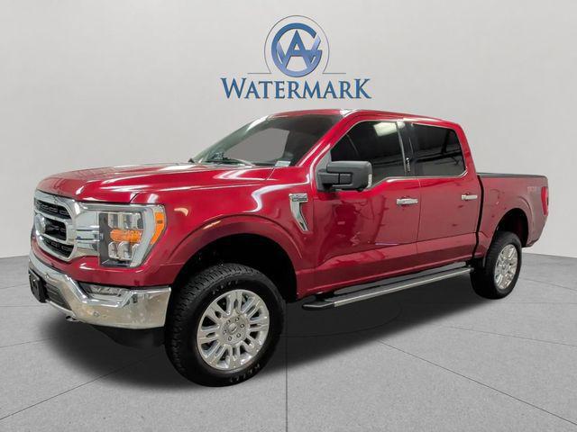 2021 Ford F-150 XLT for sale in MARION, IL