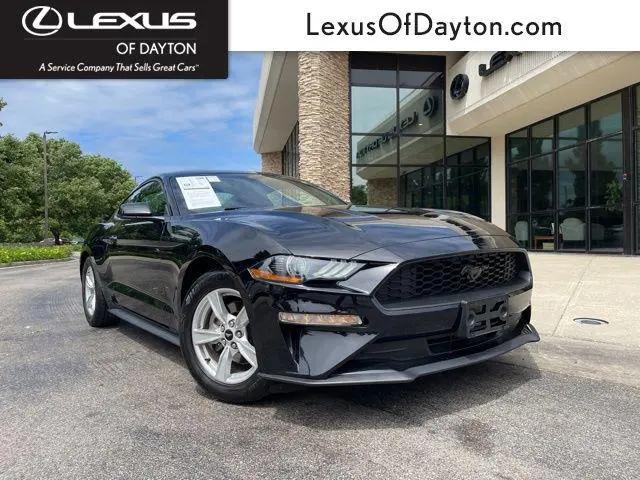 2020 Ford Mustang EcoBoost Fastback for sale near Dayton, OH