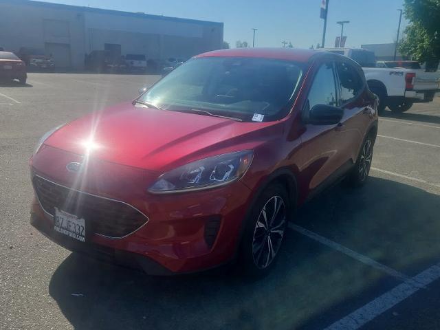 2021 Ford Escape SE Hybrid for sale in Fresno, CA