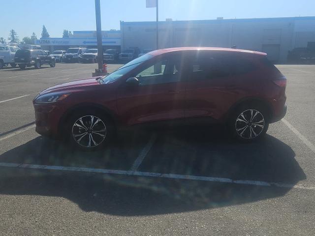 2021 Ford Escape SE Hybrid