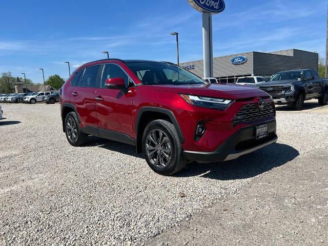 2025 Toyota RAV4 Hybrid Limited for sale in Marble Hill, MO