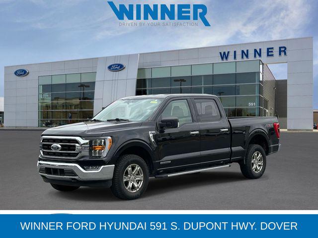 2023 Ford F-150 XLT for sale in Dover, DE