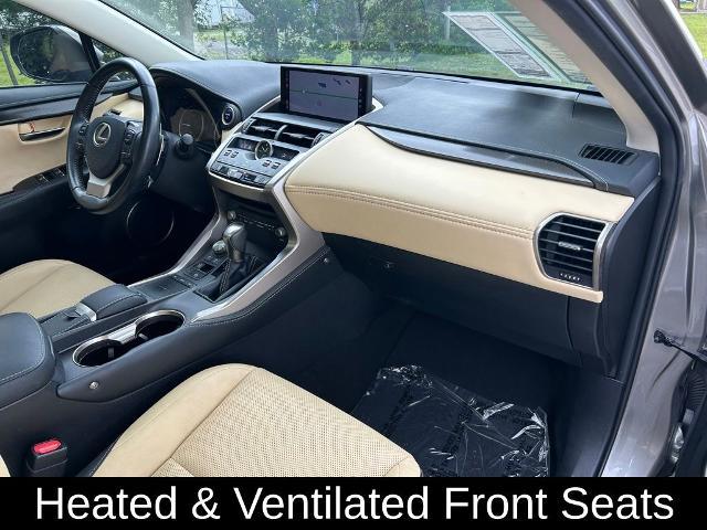 2019 Lexus NX 300h Base